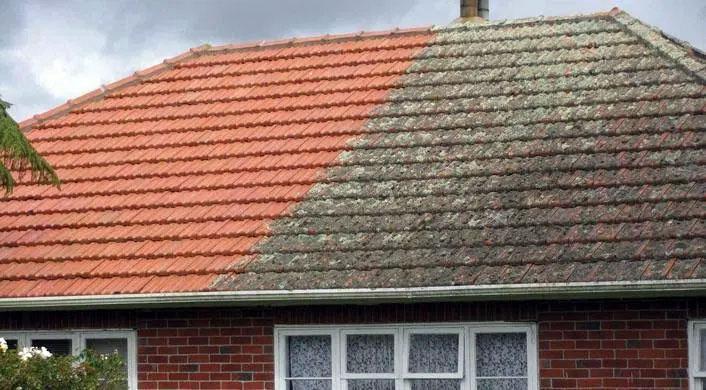 Limpeza Exterior a Vapor